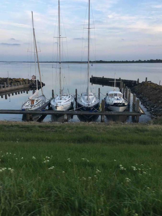 Vakantiehuisje In Ouddorp Dichtbij Het Strand Extérieur photo