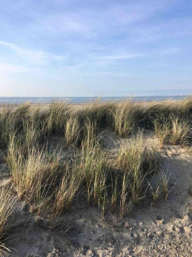 Vakantiehuisje In Ouddorp Dichtbij Het Strand Extérieur photo